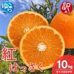 はっさく 訳あり 10kg
