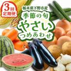 季節の旬野菜詰め合わせ