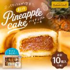 パティシェが作る創作パイナップルケーキ 45g×10個入り