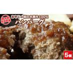 おやじの栃の木黒牛 100%ハンバーグ 180g×5個