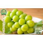 ふるさと納税 【信州上田産】 ぶどう シャインマスカット 4〜5房 約2kg 葡萄 ブドウ マスカット 2kg 果物 くだもの フルーツ デザート 旬の果物 .. 長野県上田市