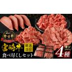 宮崎牛厳選部位食べ尽くしセット 肉 牛 牛肉