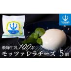 飛騨生乳100% モッツァレラチーズ5個