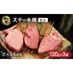牛肉 ヒレ ステーキ 伊賀忍者ビーフ 伊賀牛 120g