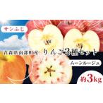 希少りんご サンふじ&ムーンルージュ 約3kgセット フルーツ 2種セット