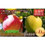 ふるさと納税 《訳ありの中の訳あり》 葉とらずりんご詰め合わせ 約10kg 【四戸農園】 減農薬 有機肥料 F21U-362 青森県南部町