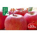 りんご サンふじ 約10kg