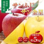 りんご サンふじ&サン金星 約5kg 2種セット