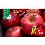 りんご サンふじ 約5kg