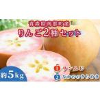 希少りんご サンふじ&なかののきらめき 約5kgセット