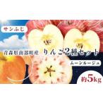 希少りんご サンふじ&ムーンルージュ 約5kgセット 2種セット