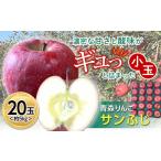青森りんご サンふじ 約5kg