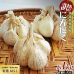 有機JAS認証 にんにく 皮割れ 欠け 約1kg