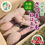 有機認証 自然栽培 さつまいも 紅はるか 約2kg