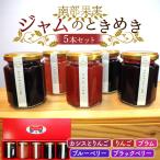 南部果実 ジャムのときめき5本セット オリジナルジャム