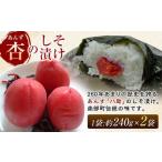 の伝統の漬物 フルーツ 杏のしそ漬け 善八 約240g×2袋