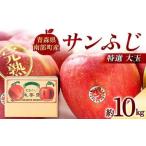 秀 小玉 青森産 完熟 りんご 約10kg