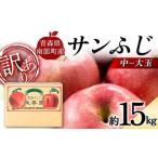 青森産 完熟 りんご 約15kg