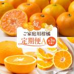 魚鶴自慢のご 柑橘セット みかん 不知火 清見