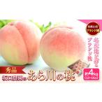 ふるさと納税 あら川の桃 秀品 約4kg(12~15玉) 坂口農園【先行予約】《2025年6月下旬-8月下旬頃出荷》 和歌山県 紀の川市 桃 もも モモ 白鳳.. 和歌山県紀の川市