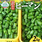 fu.... налог есть перевод зеленый перец 2kg овощи кулинария зеленый перец Iwate префектура суша передний takada город 