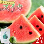 yu-0047 夜須町中玉 スイカ~西瓜