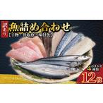 干物 12枚