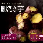 焼き芋 訳あり 冷凍 紅はるか 1.5kg