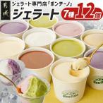 ジェラート専門店 ボンチーノ 7種12個セット