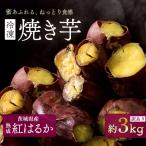 焼き芋 訳あり 冷凍 紅はるか 3kg