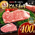 宮福笑牛 とちぎ和牛 A5 サーロインステーキ 約200g×2