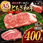 宮福笑牛 とちぎ和牛 A5 サーロインステーキ 約200g×2