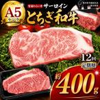宮福笑牛 とちぎ和牛 A5 サーロインステーキ 約200g×2枚