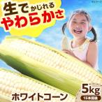 ホワイトコーン 5kg