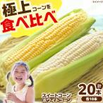 とうもろこし 食べ比べセット