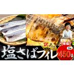 訳あり 塩 サバ 約450g