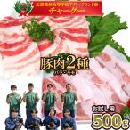 チャ―グー2種食べ比べ500g 250g×2P