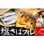 訳あり 塩 サバ 約1.4kg