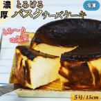 ハングリー特製とろけるバスクチーズケーキ