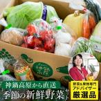 神鍋高原 季節の新鮮野菜 詰め合わせ 5~10品
