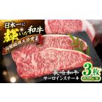 長崎和牛 サーロインステーキ 600g