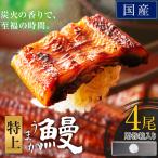 うなぎ 特上サイズ 4尾
