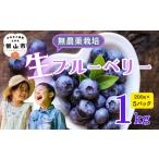 ショッピングふるさと納税 先行予約 ふるさと納税 ブルーベリー １kg 【2026年7月より発送 先行予約】 Br-002 長野県飯山市