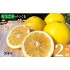 果物 フルーツ 柑橘 ミカン 蜜柑 日向夏 小夏