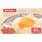 fu.... налог прямая поставка от производителя большой удача Tama .40 шт Kyoto (столичный округ) юг . город 