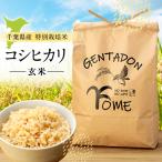 AB1-006 特別栽培米 コシヒカリ 玄米 10kg