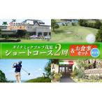 R01-004 ダイナミックゴルフ ショートコース2周&お食事セッ…