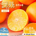愛果28号 約5kg