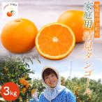 清見タンゴール 3kg