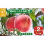 ふるさと納税 季節の桃 約2kg 5〜9玉［ おぶせファーマーズ ］桃 もも モモ ピーチ フルーツ 果物 たまき なつき あかつき 川中島白鳳 なつっ.. 長野県小布施町